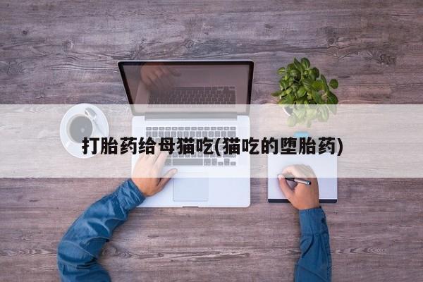 米非米索打胎药给母猫吃(猫吃的堕胎药)