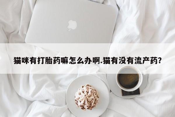 米非米索猫咪有打胎药嘛怎么办啊.猫有没有流产药？
