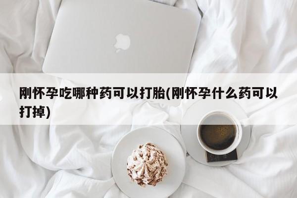 米非米索刚怀孕吃哪种药可以打胎(刚怀孕什么药可以打掉)