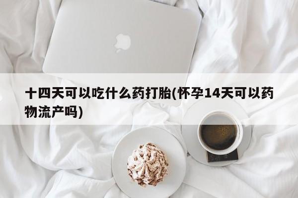 米非米索十四天可以吃什么药打胎(怀孕14天可以药物流产吗)